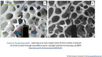 Micrographs of cracks driven through cancellous bone #1
